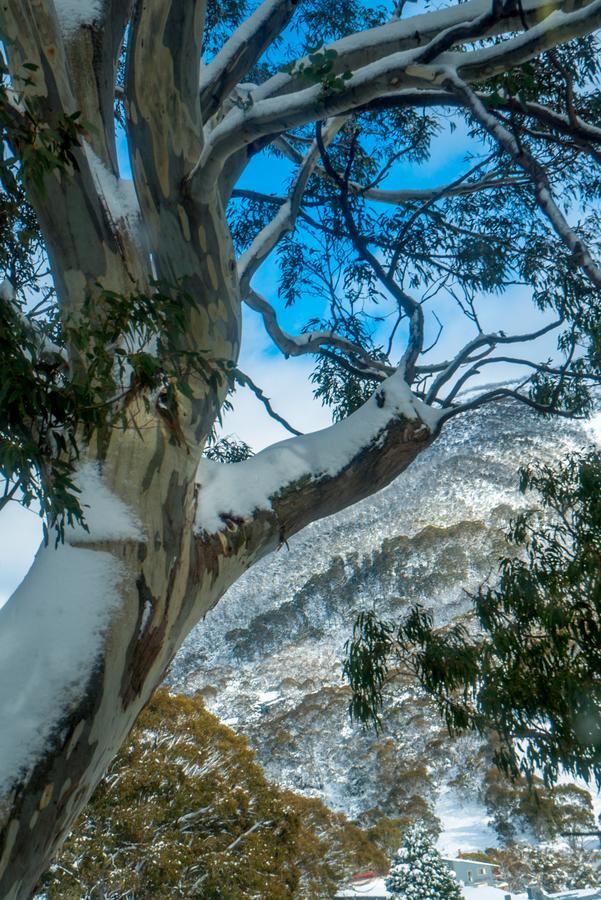 Hotel Pure Chalet Thredbo Exterior foto